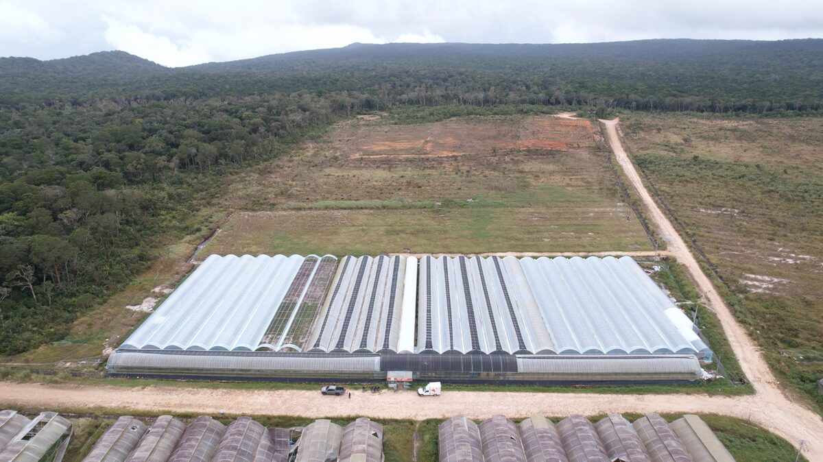 Bokor Smart Farm Aerial View