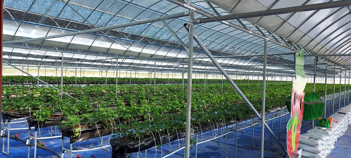 Hydroponic facility